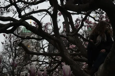 DSC_7002 (Large).JPG